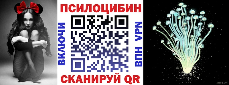 Псилоцибиновые грибы мицелий  ссылка на мегу рабочий сайт  Усть-Илимск  купить  
