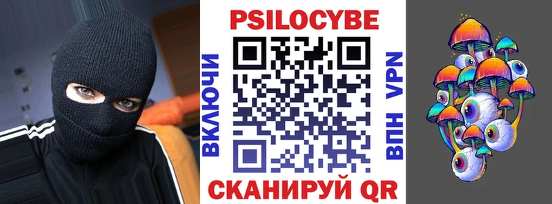 Псилоцибиновые грибы Psilocybe Усть-Илимск